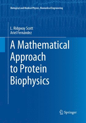 bokomslag Mathematical Approach to Protein Biophysics