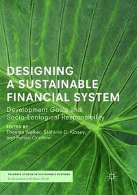 bokomslag Designing a Sustainable Financial System