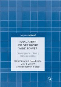 bokomslag Economics of Offshore Wind Power