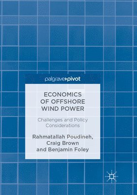 Economics of Offshore Wind Power 1