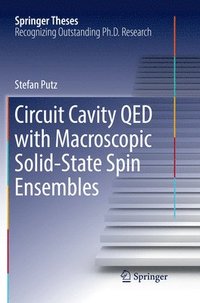 bokomslag Circuit Cavity QED with Macroscopic Solid-State Spin Ensembles