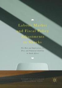 bokomslag Labour Market and Fiscal Policy Adjustments to Shocks