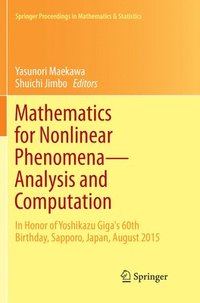 bokomslag Mathematics for Nonlinear Phenomena - Analysis and Computation