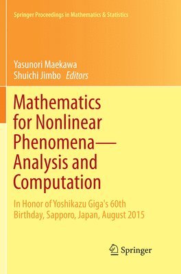 Mathematics for Nonlinear Phenomena  Analysis and Computation 1