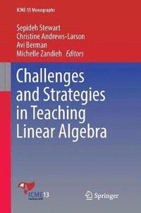 bokomslag Challenges and Strategies in Teaching Linear Algebra