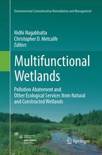 bokomslag Multifunctional Wetlands