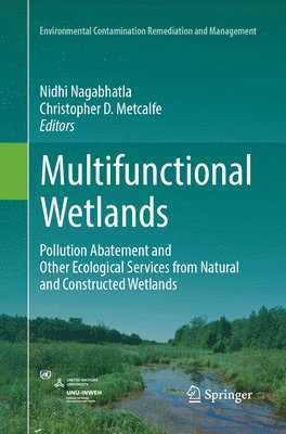 Nidhi Nagabhatla, Christopher D. Metcalfe - Multifunctional Wetlands, Häftad
