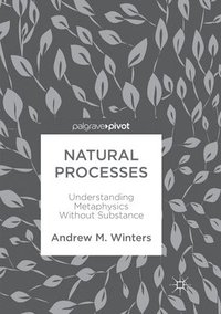 bokomslag Natural Processes