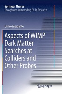 bokomslag Aspects of WIMP Dark Matter Searches at Colliders and Other Probes