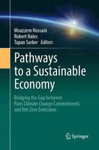 bokomslag Pathways to a Sustainable Economy