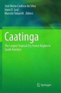 bokomslag Caatinga
