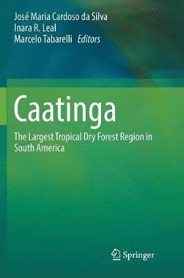 Caatinga 1