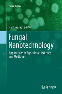 bokomslag Fungal Nanotechnology