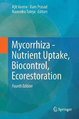 Ajit Varma, Ram Prasad, Narendra Tuteja - Mycorrhiza - Nutrient Uptake, Biocontrol, Ecorestoration, Häftad