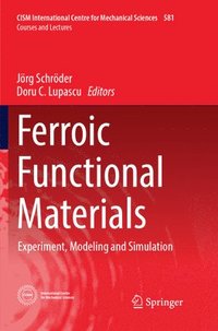 bokomslag Ferroic Functional Materials