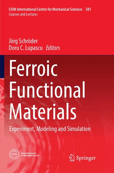 Jörg Schröder, Doru C. Lupascu - Ferroic Functional Materials, Häftad