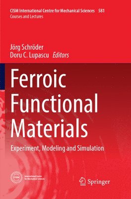 Ferroic Functional Materials 1