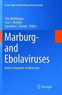 bokomslag Marburg- and Ebolaviruses