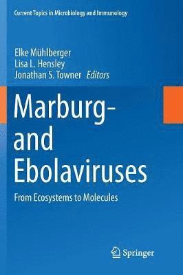 Marburg- and Ebolaviruses 1