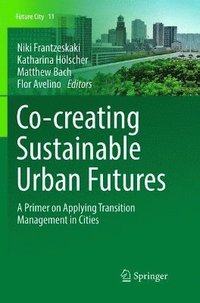 bokomslag Co-creating Sustainable Urban Futures