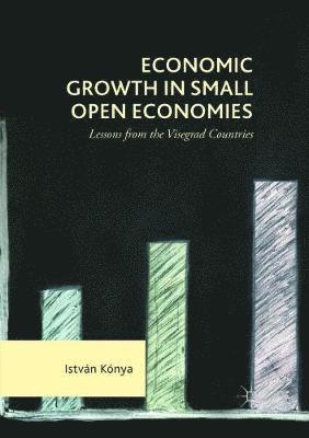 bokomslag Economic Growth in Small Open Economies