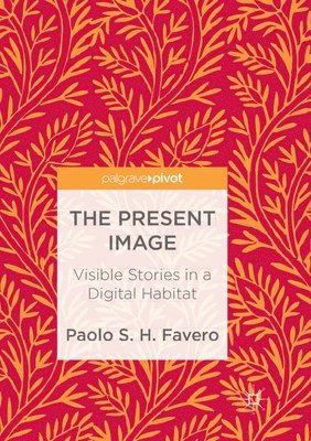 The Present Image 1