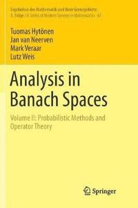 bokomslag Analysis in Banach Spaces