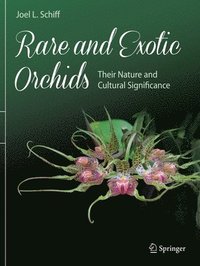 bokomslag Rare and Exotic Orchids