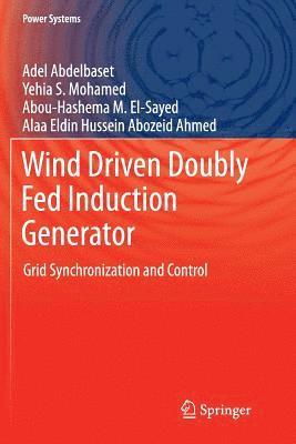 Adel Abdelbaset, Yehia S. Mohamed, Abou-Hashema M. El-Sayed, Alaa Eldin Hussein Abozeid Ahmed - Wind Driven Doubly Fed Induction Generator, Häftad