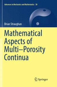 bokomslag Mathematical Aspects of MultiPorosity Continua