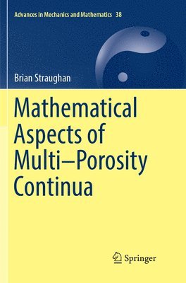 Mathematical Aspects of MultiPorosity Continua 1