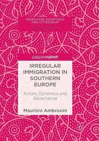 bokomslag Irregular Immigration in Southern Europe
