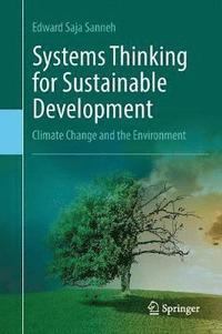bokomslag Systems Thinking for Sustainable Development