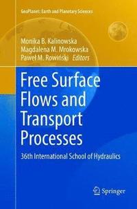 bokomslag Free Surface Flows and Transport Processes