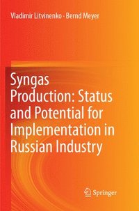 bokomslag Syngas Production: Status and Potential for Implementation in Russian Industry