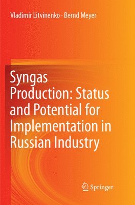 bokomslag Syngas Production: Status and Potential for Implementation in Russian Industry