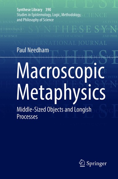 Paul Needham - Macroscopic Metaphysics, Häftad
