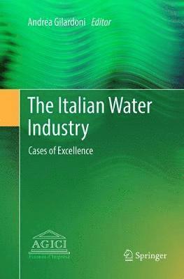 bokomslag The Italian Water Industry