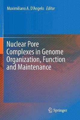 bokomslag Nuclear Pore Complexes in Genome Organization, Function and Maintenance