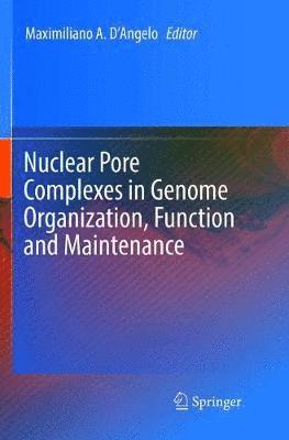 Nuclear Pore Complexes in Genome Organization, Function and Maintenance 1