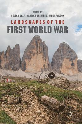 Selena Daly, Martina Salvante, Vanda Wilcox - Landscapes of the First World War, Inbunden