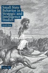 bokomslag Small State Behavior in Strategic and Intelligence Studies