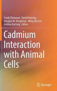 bokomslag Cadmium Interaction with Animal Cells