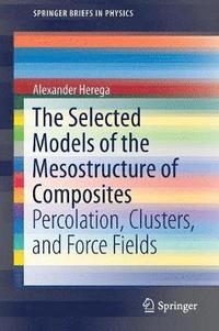 bokomslag The Selected Models of the Mesostructure of Composites