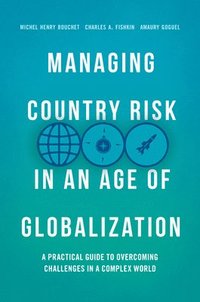 bokomslag Managing Country Risk in an Age of Globalization