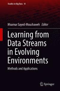 bokomslag Learning from Data Streams in Evolving Environments