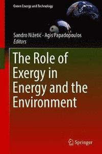 bokomslag The Role of Exergy in Energy and the Environment