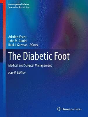 bokomslag The Diabetic Foot