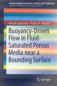 bokomslag Buoyancy-Driven Flow in Fluid-Saturated Porous Media near a Bounding Surface