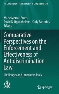 bokomslag Comparative Perspectives on the Enforcement and Effectiveness of Antidiscrimination Law